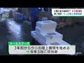 陸上養殖のウニ４１万個が死ぬ　大雨で塩分濃度が低下し被害　宮城・南三陸町