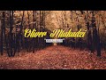 Oliver Mtukudzi - Kuonererwa
