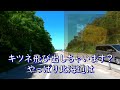 初走行！！北海道の高速道路【cb250r】動物注意の看板、多し！