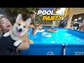 DOG POOL PARTY SA BG HOUSE!! | Happy Birthday
