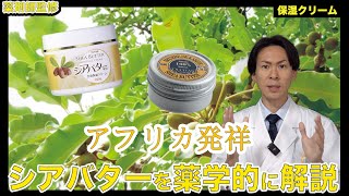 【美容の話】化粧品にある、シアバターってなに？【薬剤師が解説】