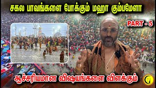 சகல பாவங்களை போக்கும் மஹா கும்பமேளா | ஆச்சரியமான விஷயங்களை விளக்கும்  Damodhara Dheekshidhar