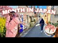 A MONTH IN MY LIFE IN JAPAN MARCH Shopping Travel Cherry blossoms