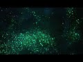 glitter flow fx houdini fx particle simulation