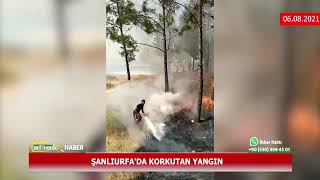 ŞANLIURFA'DA KORKUTAN YANGIN