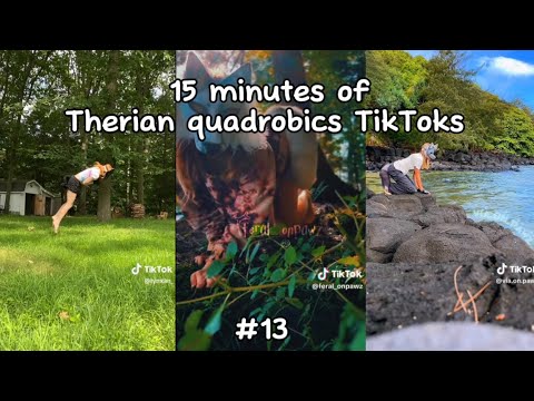 Therian Quadrobics Compilation 13 Youtube