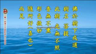 二零一四淨土大經科註（第四回 第200集） 淨空法師 (有字幕)