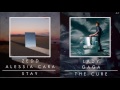 Lady Gaga, & Zedd, Alessia Cara - The Cure (Mashup)