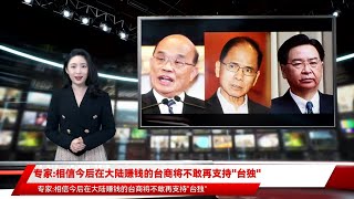 专家:相信今后在大陆赚钱的台商将不敢再支持\