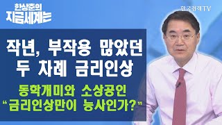 작년, 부작용 많았던 두 차례 금리인상 동학개미와 소상공인 \