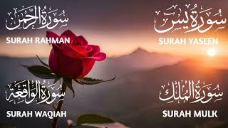 Surah Yaseen ❤️ Surah Rahman ❤️ Surah Mulk ❤️ Surah Waqiah Beautiful Voice ❤️ Heart Soothing