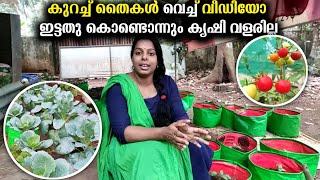 കൃഷിയിലെ 👨‍🌾 തുടക്കക്കാർക്കായി | കുറച്ച് തൈകൾ വെച്ച് വീഡിയോ ഇട്ടതു കൊണ്ടൊന്നും കൃഷി വളരില്ല