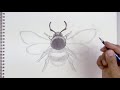 how to draw a bumble bee sketch sunday step by step