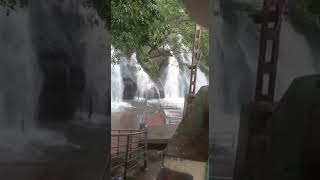 BEAUTY OF COURTALLAM   heavy in flood today view #short# subscribe our Mustaq \u0026 Mutlaq creations