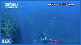 #11 スキューバダイビング｜海と日本PROJECT in 山形県