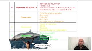 Eichenholtz Classification of Charcot