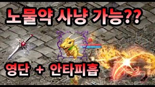 [버닝딸기TV] 안타인형 피흡 + 영단이면 노물약 사냥 가능? 비교분석 확인해 보시죠! (편집본 재업)_ 리니지 리마스터