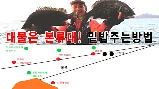 거제도 5짜 감성돔!! 본류대!대물은 밑밥 운영법에 따라 조과는 달라진다!