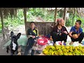 The Orphaned Boy - Picking Grapefruit and Star Fruit to Sell, Visiting Grandma but Not Seeing Her