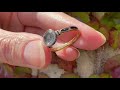 antique georgian memento mori skull ring inscribed 1763 and 1767