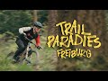 Doku: Trail Paradies Freiburg: Die Entstehungsgeschichte der MTB Freiburg e.V.