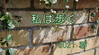 【ノア】私は歩く2021春