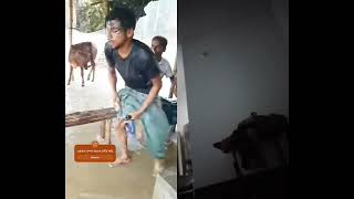 এই রকম মগা আর একটাও নাই #funny #shortsvideo #comedy #fun