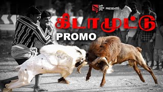 சண்டை கிடாய் வளர்ப்பு | மதுரை சண்டை கிடா முட்டு | PROMO | SANDAI KIDA VALARPU Left Lane Tamil