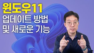 윈도우11 업데이트방법 및 새로운 기능