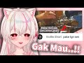 Kucing Elit, Makan Pake Tangan Sulit & Obrolan Random Tentang Sena【clip】