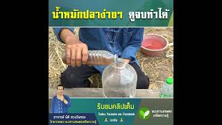 น้ำหมักปลา เร่งใบเขียว ติดดอกดี เร่งขยายผล #น้ำหมัก #เกร็ดความรู้ #นาข้าว