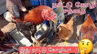 Country Chicken | நாட்டுக் கோழி சந்தை விற்பனை ஒரு நேர்காணல் | Country Chicken Benifits