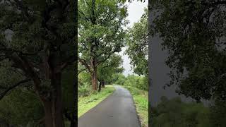 Beauty of nature | Greenery |real punjab | canal