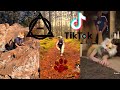 Therian and Quadrobics TikToks || Compilation 🐾🪱🪲|| Alterhumans of TikTok #81