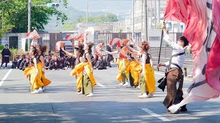 [4K] 舞花連　よさこいinおいでん祭り 2019 豊川おいでん祭り ケヤキ会場