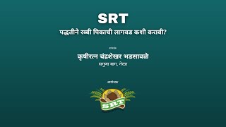 SRT पद्धतीने रब्बी पिकाची लागवड कशी करावी?