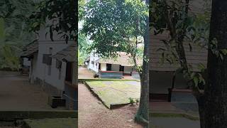 ആ നടുമുറ്റവും#villagelife #villagevlog #villagelifestyle #village #villagevlogs #traveling #vinaya25