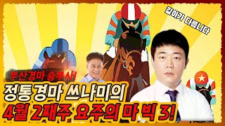 정통경마 쓰나미가 추천하는 4월 둘째주 관심마 빅 3 🎠 (Feat 쓰나미 예상가) | 정통경마 쓰나미