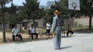 Michael - Shaolin Dan Dao