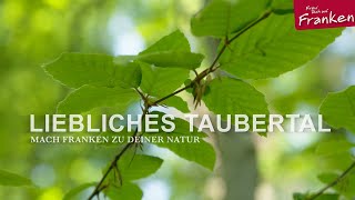 Naturerlebnisse - Hausbesuch Liebliches Taubertal