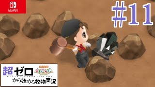 【#11】超ゼロから始める牧物実況【牧場物語 再会のミネラルタウン】