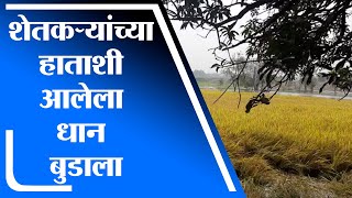 Bhandara | गोसिखुर्द धरणाचे बॅक वॉटर शिरले धान शेतात, शेतीला फटका - tv9