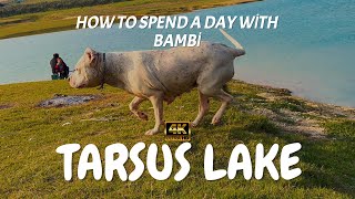 Tarsus Lake Hidden Paradises in Turkey 4K