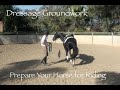 Dressage Groundwork: Prepare Your Horse for the First Ride