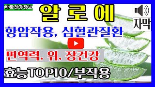 🍃알로에 효능 10가지🍃알로에 먹는법 /알로에부작용// 알로에 완벽정리