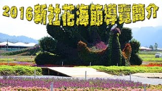 Taiwan Travel Taichung Xinshe Flower Festival