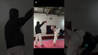 Subscribe garnu hoi ta❤️🙏#shortvideo #subscriber #taekwondonepal #kick practice #