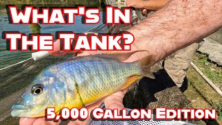 What's in the 5,000 Gallon Tanks?