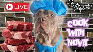 Cookin With Nova! Part 2 🥩🐾🐕