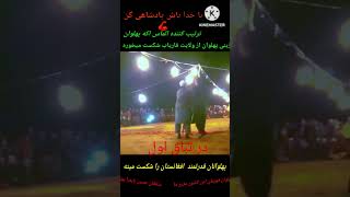 سلطان حسین بایقرآ پهلوان